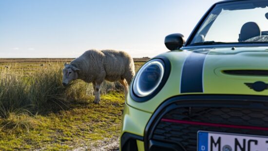 Volgende Mini Cabrio