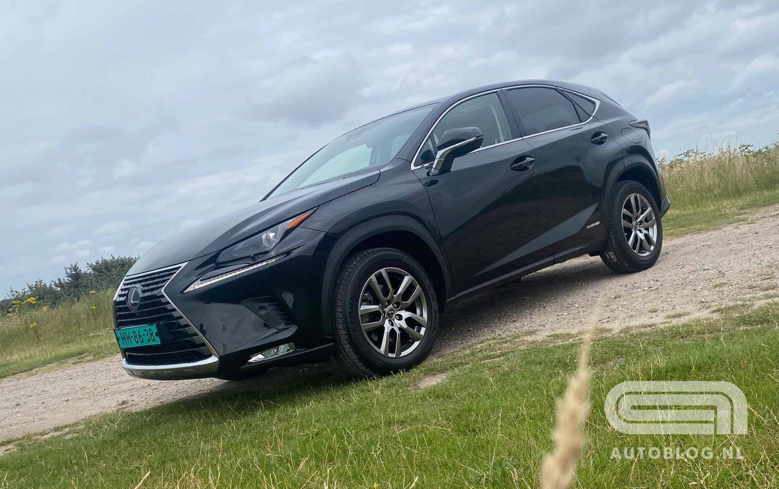 lexus nx occasion